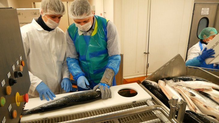 ПАКУВАННЯ МОРЕПРОДУКТІВ