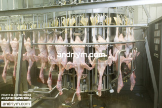 ОБРОБКА ГУСЯЧОЇ ТА ІНДЮШИНОЇ ТУШКИ