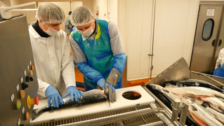 РІЗНОРОБОЧІ НА ЗАВОД ПО ОБРОБЦІ ЛОСОСЯ