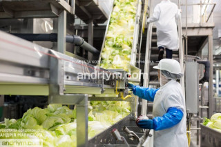 ВИРОБНИЦТВО КОНСЕРВАЦІЇ BONDUELLE