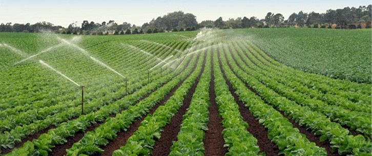 ПРАЦІВНИК НА ПОЛЕ