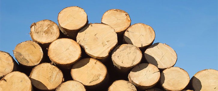 ДЕРЕВООБРОБНА ФАБРИКА