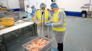 ПРАЦІВНИК ПРОДУКЦІЇ НА КОНСЕРВНИЙ ЗАВОД KORAL KUKINIA