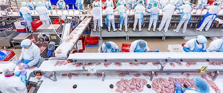 ПРАЦІВНИК НА ВИРОБНИЦТВІ ТА УПАКОВЦІ ГУСЯЧОЇ І КАЧИНОЇ ПРОДУКЦІЇ