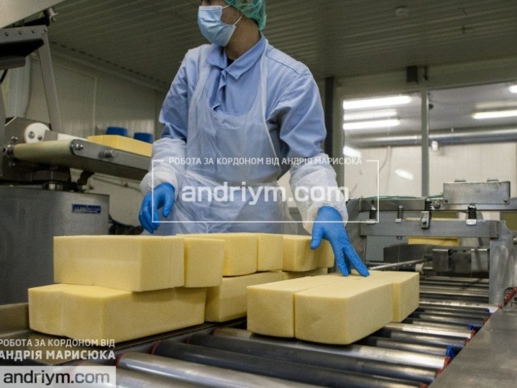 УПАКОВКА СИРНОЇ ПРОДУКЦІЇ