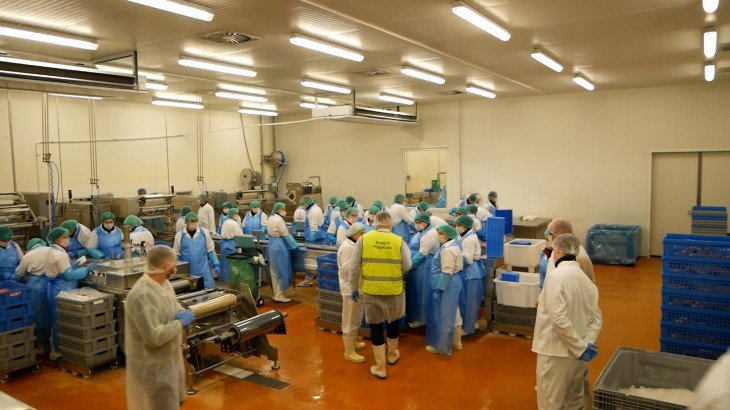 УПАКОВКА МОРЕПРОДУКТІВ