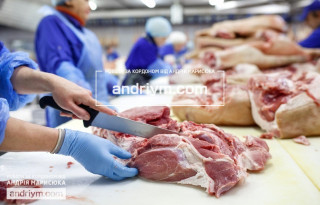 EMPLOYEES FOR MEAT PROCESSING