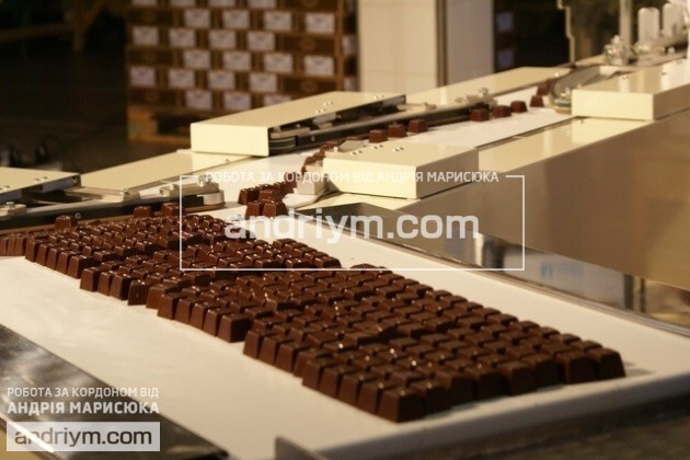 Chocolate factory worker