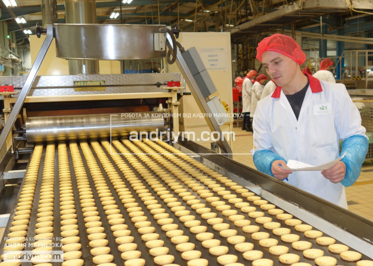 Worker at sandwich production