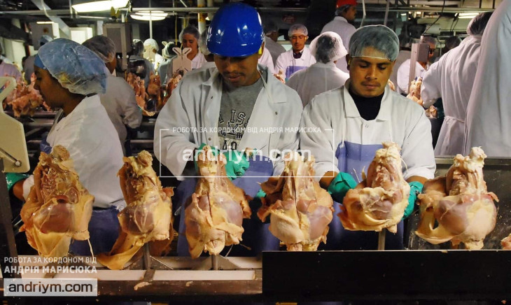 Poultry production worker