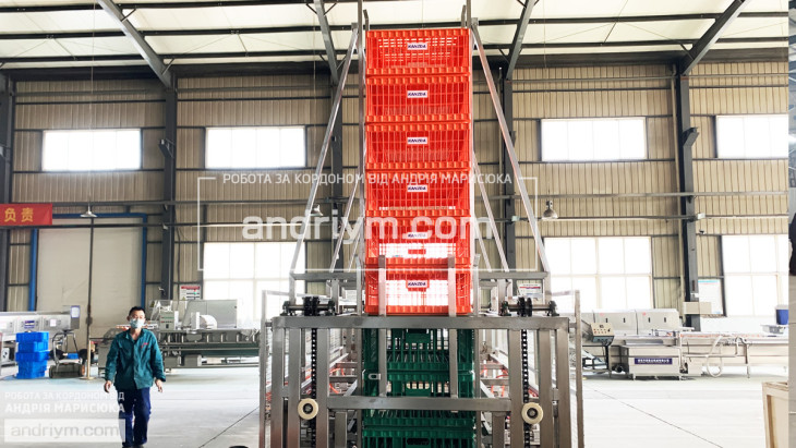 Crate washing worker