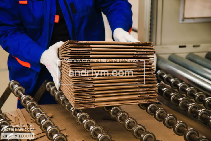 Cardboard box production worker