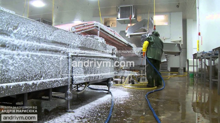 Poultry plant cleaning worker