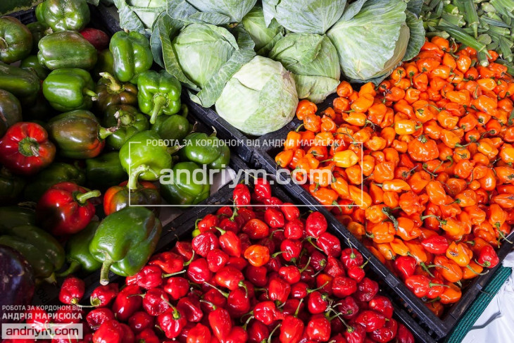 Worker for vegetable and fruit packaging